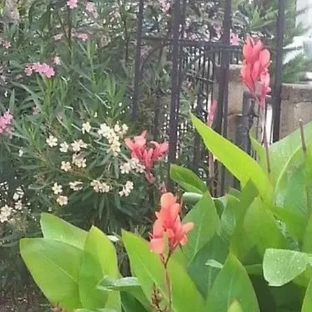 Daire Trbi - One Bedroom - Karlo